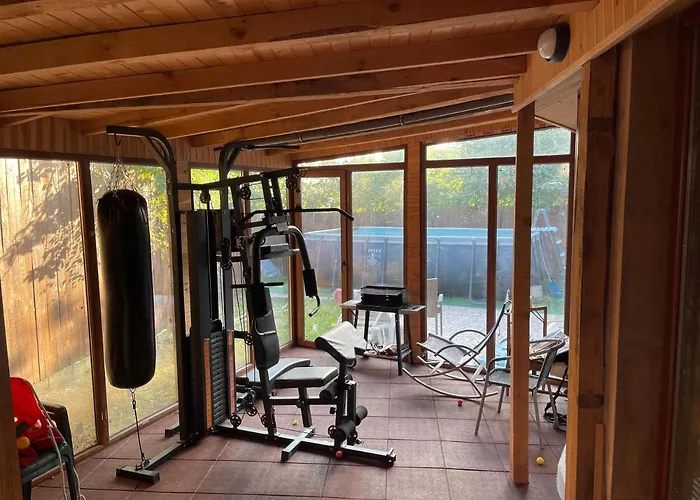 فيلة Dety's Drachevo